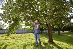 Takkenschaar StarCut 160 plus|ohgreen Clearance