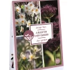 Tas 'a bulb for every garden' met 35 bloembollen dry garden|ohgreen Sale