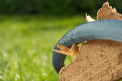 Textielslang Liano Xtreme 15m Set|ohgreen