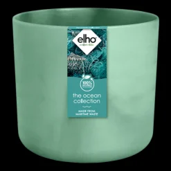 The Ocean Collection 14cm Pacific green|ohgreen Best