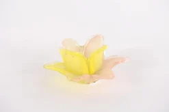 Theelichthouder amaryllis|ohgreen Discount