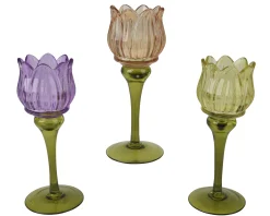 Theelichthouder glas dia7.50-h22.50cm assortie|ohgreen New