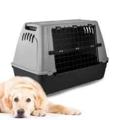 Transportbox auto baron 80|ohgreen Sale