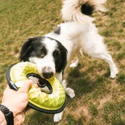 Tug-o-war loop - y 21x5,2,5|ohgreen New