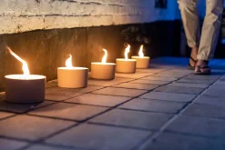 Tuinkaars in ronde terracotta schaal wit 11u - zwart|ohgreen Online