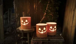 Tuinkaars Royal flame in terracotta schaal 13u - ivoor|ohgreen Online