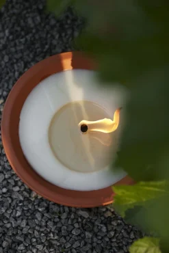 Tuinkaars Royal flame in terracotta schaal 13u - ivoor|ohgreen Online