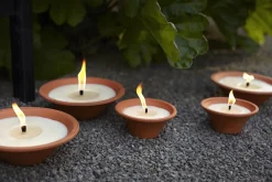 Tuinkaars Royal flame in terracotta schaal 13u - ivoor|ohgreen Online
