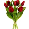 Tulpenbundel donker rood|ohgreen Online