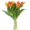 Tulpenbundel oranje|ohgreen Online