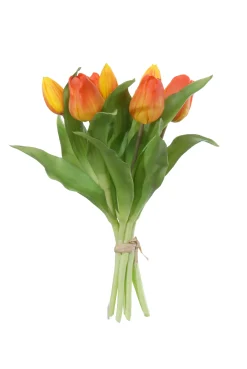 Tulpenbundel oranje|ohgreen Online