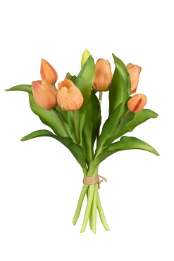 Tulpenbundel zalm|ohgreen New