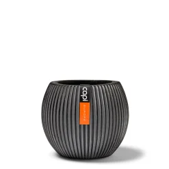 Vaas bol Groove 21x19|ohgreen