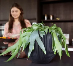 Vaas bol groove 21x19|ohgreen