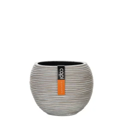 Vaas bol Rib 18x15|ohgreen Best