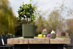 Vaas cilind groove 19x21|ohgreen Hot