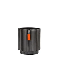 Vaas cilinder Groove 23x25|ohgreen Online