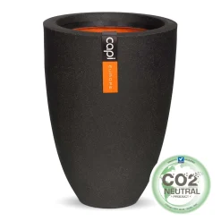 Vaas elegant laag ii 36x47 zwt|ohgreen Online