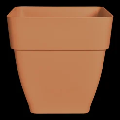 VIERKANT 30CM TERRA|ohgreen New