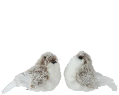 Vogel kunstbont|ohgreen Hot