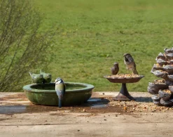 Vogelbad|ohgreen Sale