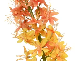 Vossenstaart|ohgreen Best