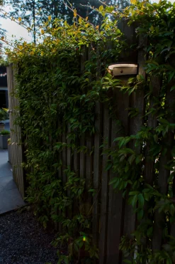 Vyzor solar wandlamp|ohgreen Best