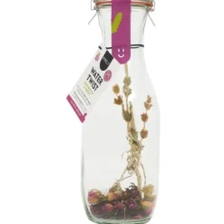 Water twist roos bergthee karaf|ohgreen