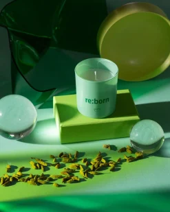 We are kaars re:born|ohgreen Outlet