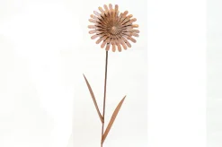 Wildebloem|ohgreen Clearance