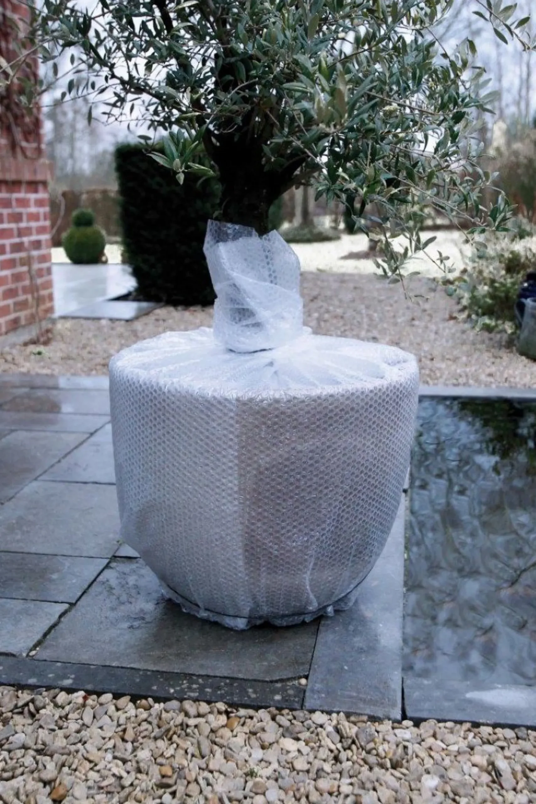 Winternoppenfolie op rol 0,50x5m Ø10mm|ohgreen New