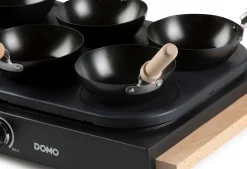 Wok party set hout 1000W ILAG|ohgreen New