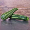Zaden: courgette verte d'italie|ohgreen Online