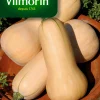 Zaden pompoen waltham butternut 2g|ohgreen New