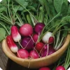 Zaden: radijs gemengd|ohgreen