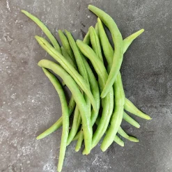 Zaden: stamslaboon (prinsessenboon) cupidon|ohgreen Clearance