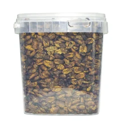 Zijderupsen 10 mm. 2,5 liter|ohgreen Best